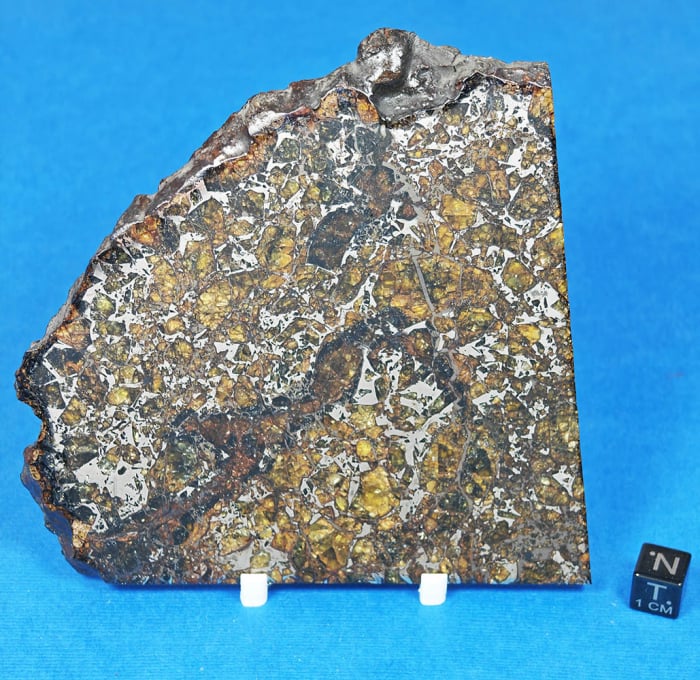 Admire 206g Pallasite