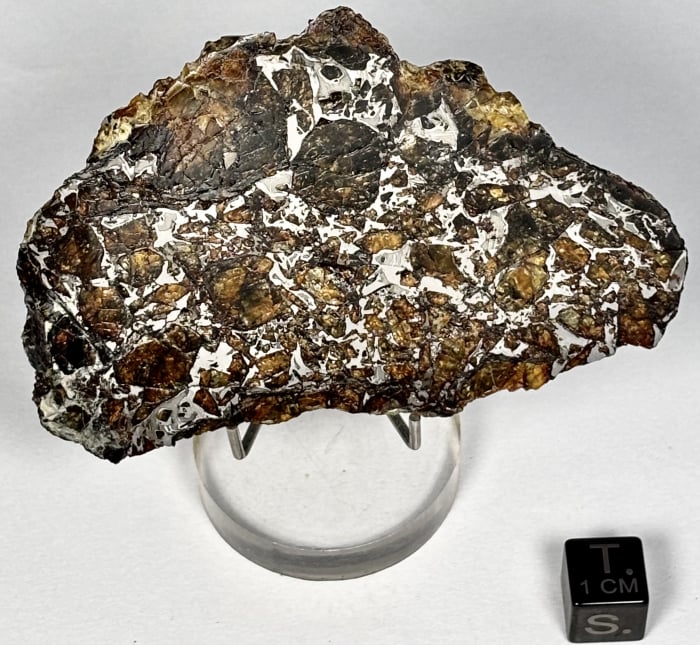 Admire 40.3g Pallasite