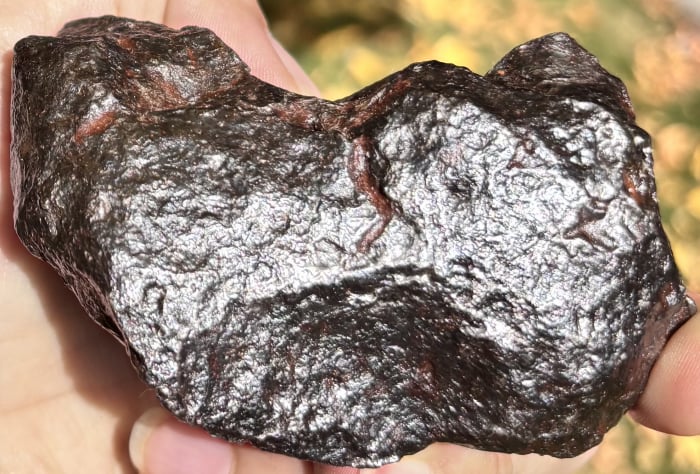 Campo del Cielo 61 kg