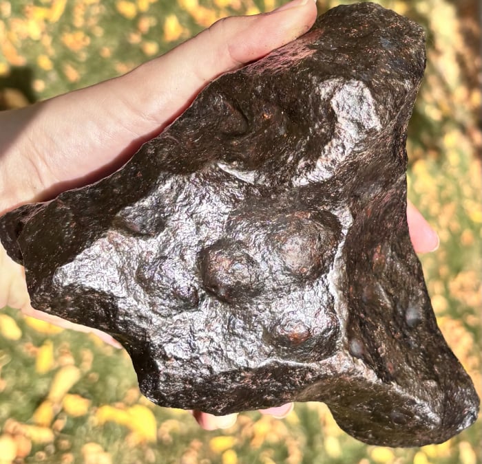 Campo del Cielo 4.63g