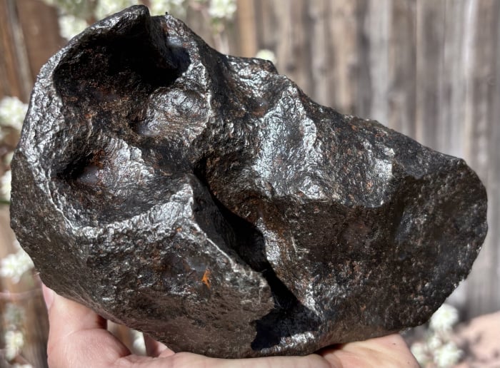 Campo del Cielo 4.90g