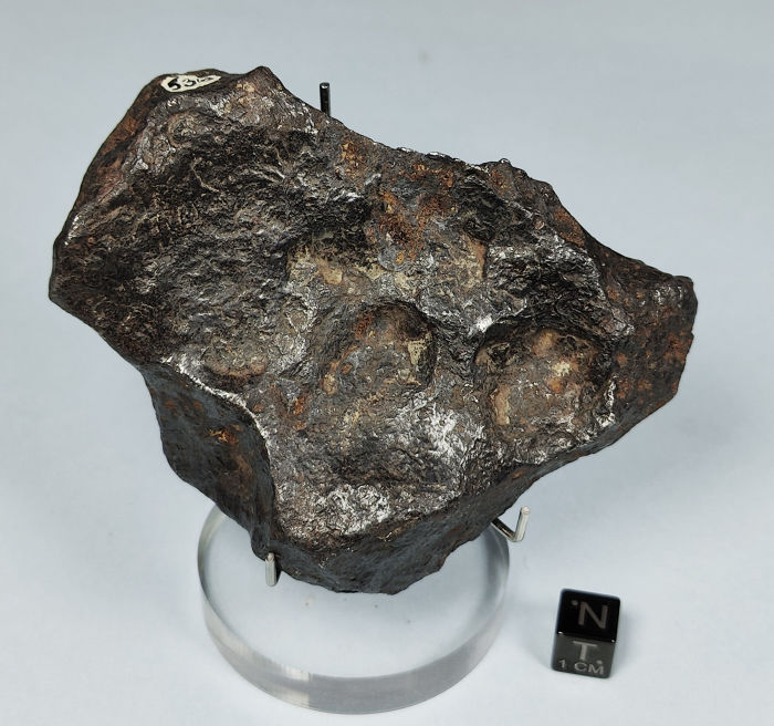 Canyon Diablo 530 gram meteorite