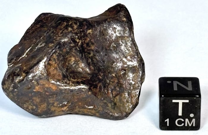 Canyon Diablo Meteorite 43.9g