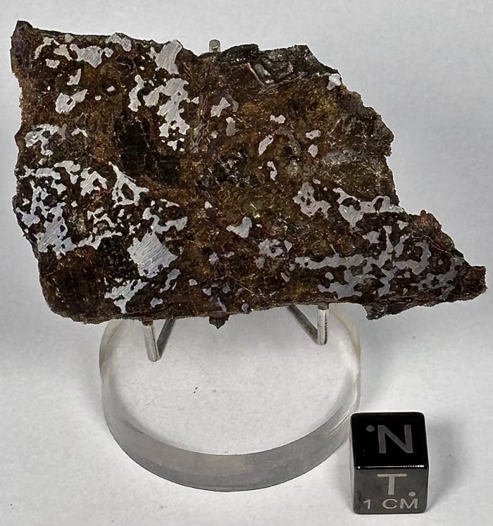 El Eglab 82.8g