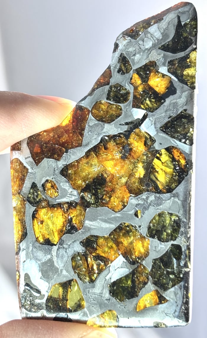 Esquel 36g
