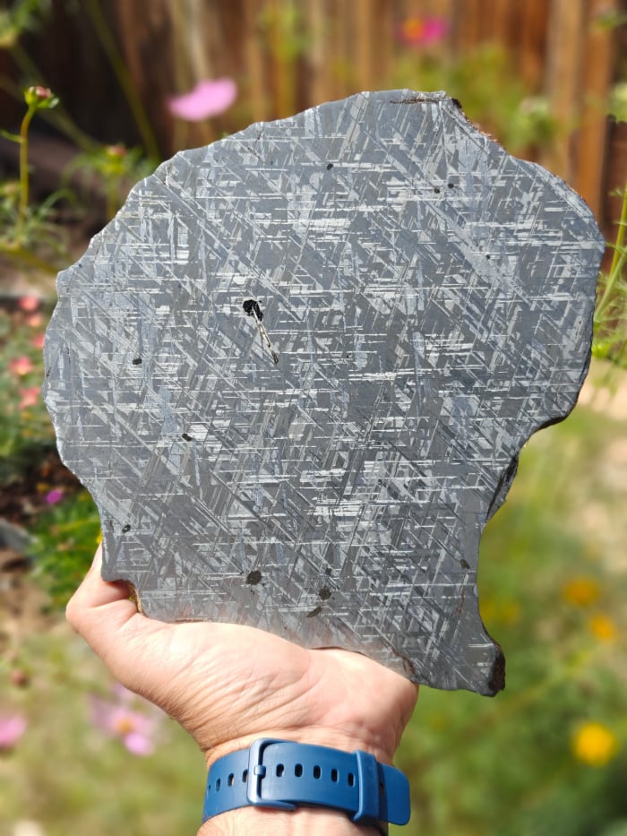 Gibeon 1457 Gram