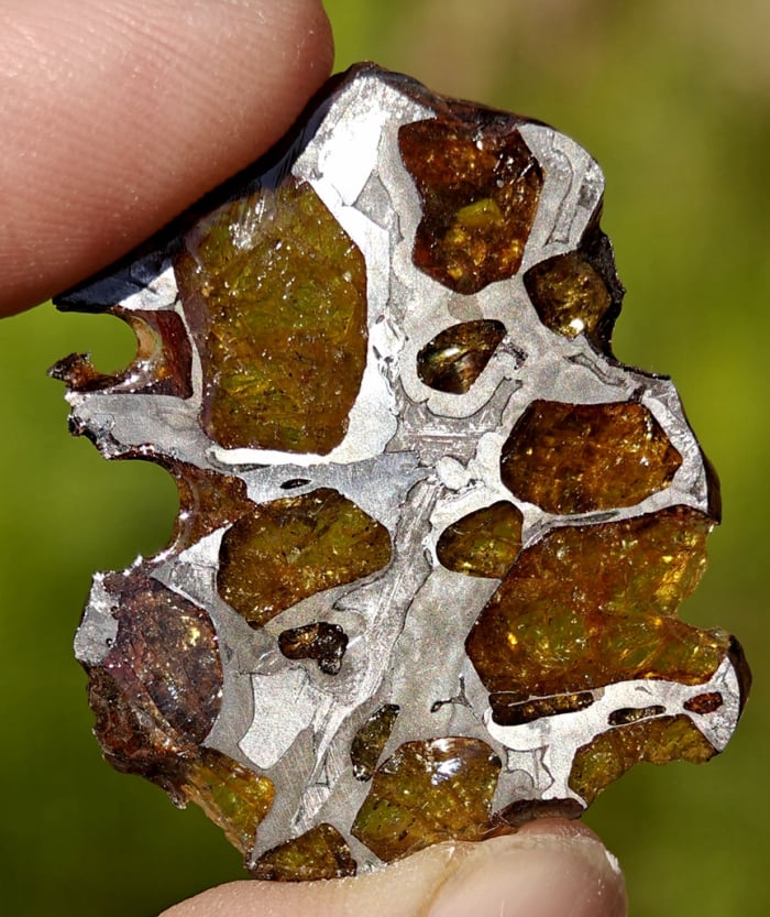 Imilac Pallasite 6.79