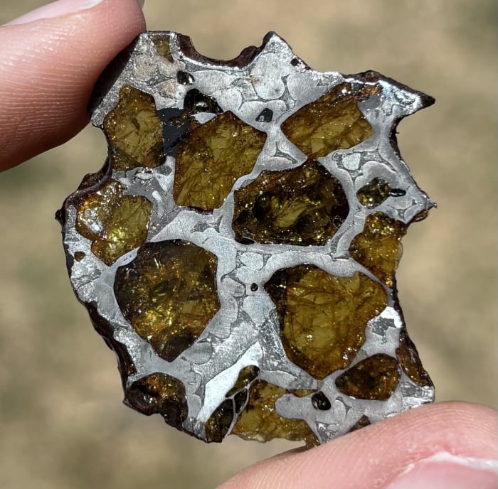 Imilac Pallasite 7.9 gram