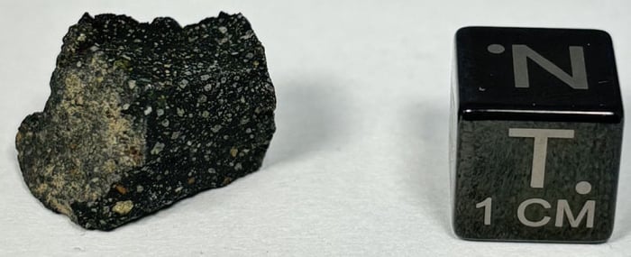 Murchison Meteorite