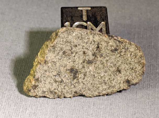 NWA 12269 Mars Meteorite