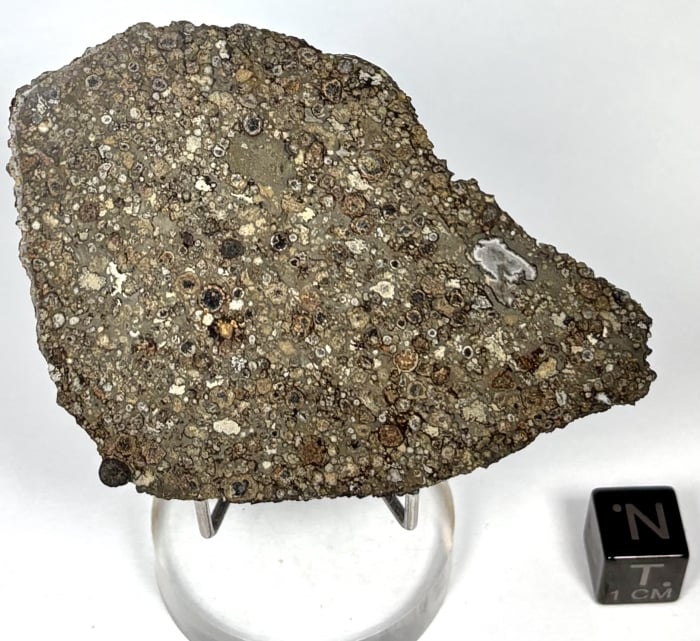 NWA 13543 CV3 19.3 grams