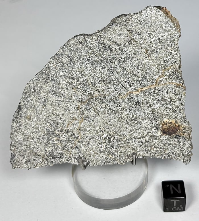 NWA 14682 40.7 grams