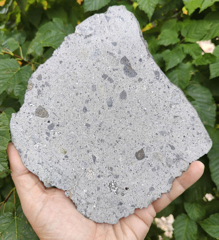 NWA 16087 Howardite Meteorite 202g
