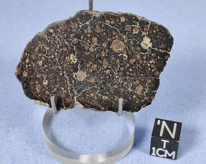 NWA 5546 Carbonaceous Chondrite Meteorite