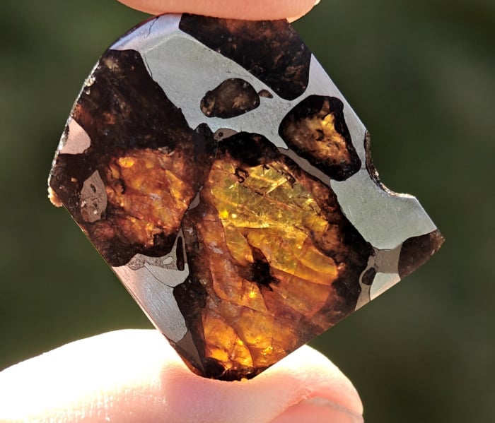Quijingue 4.2g pallasite