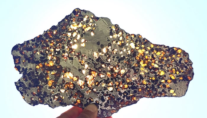 Sericho pallasite 364g slice