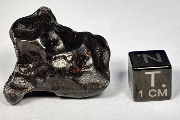 Sikhote-Alin Meteorite 31