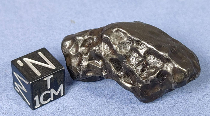 Sikhote-Alin Meteorite 41