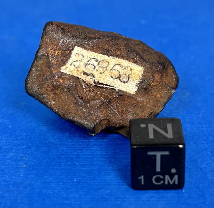 Sikhote-Alin 41.9 gram