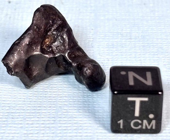 Sikhote-aline meteorite 8.9