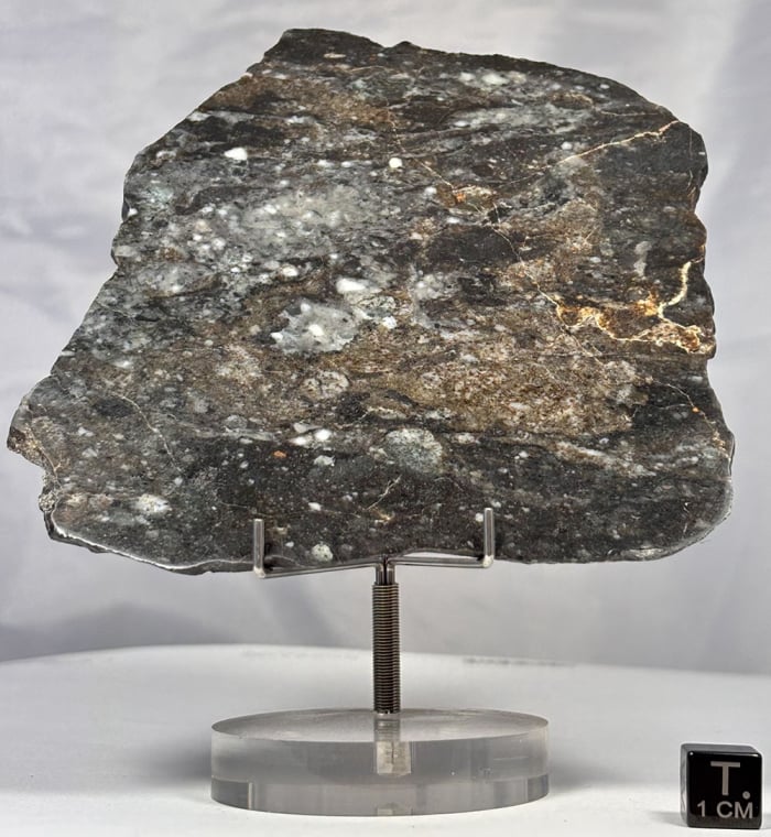 Timertine 76 grams
