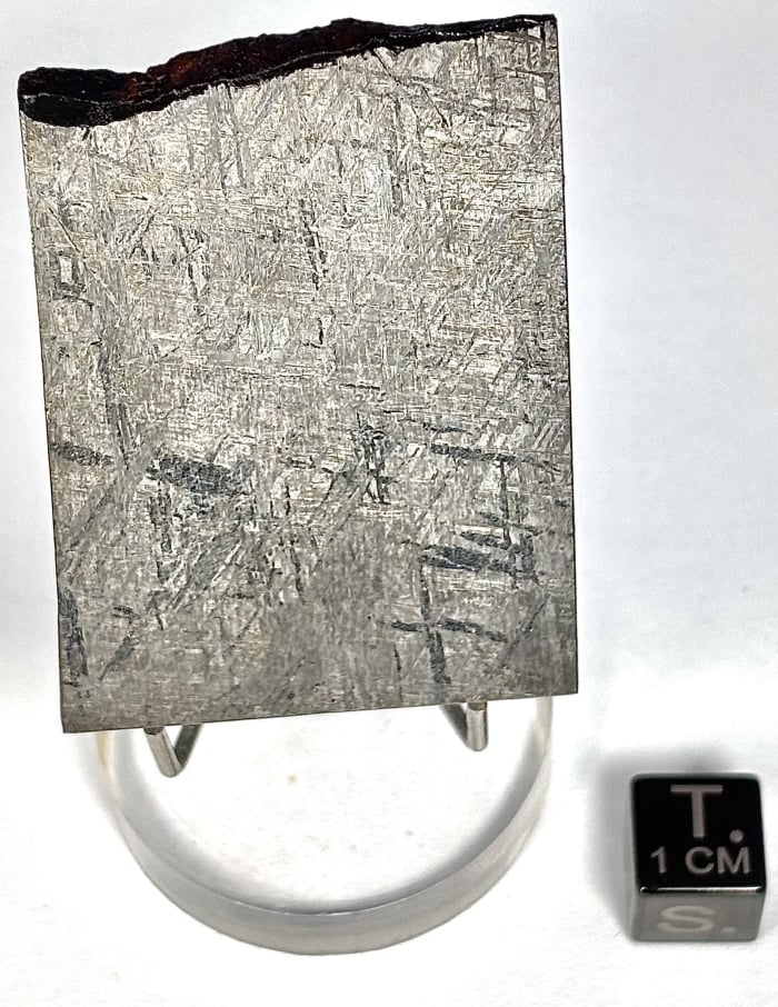 Turgut 45.6 grams