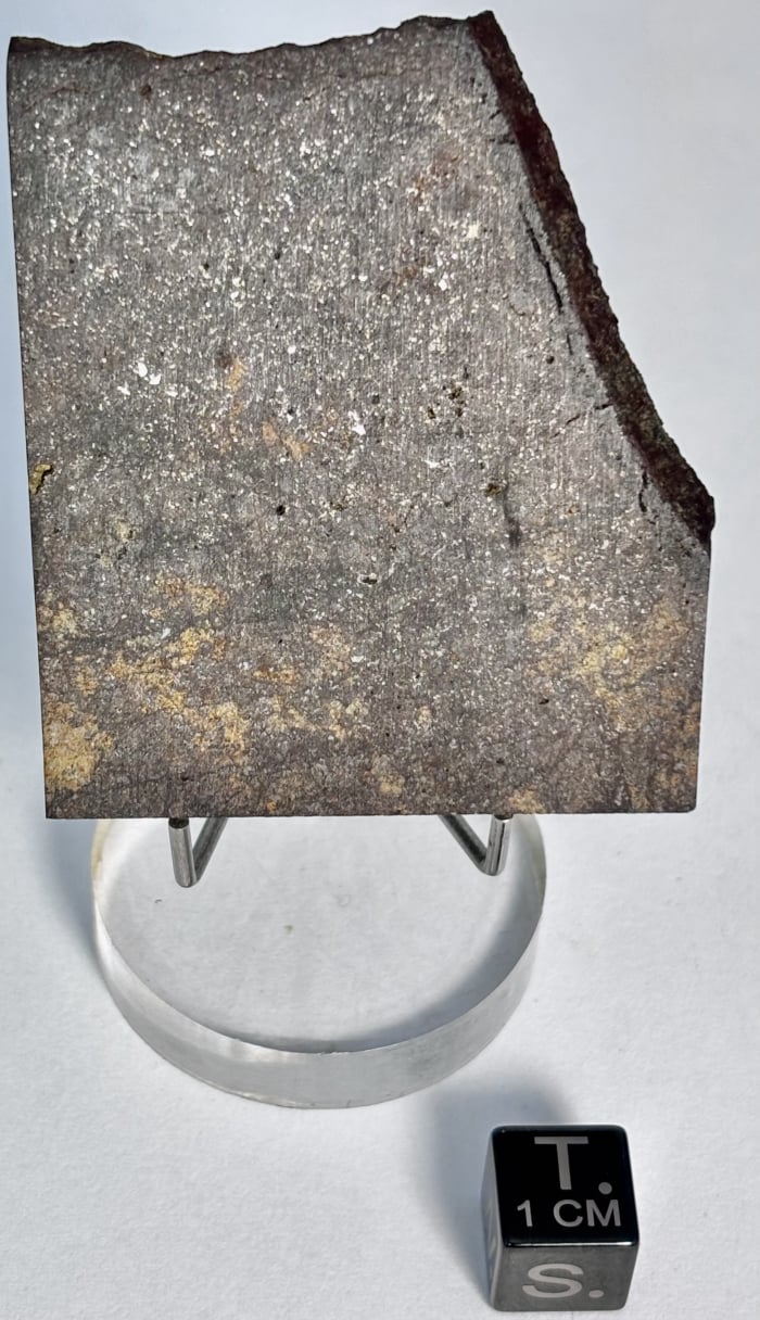 Wagon Mound 26.3 grams