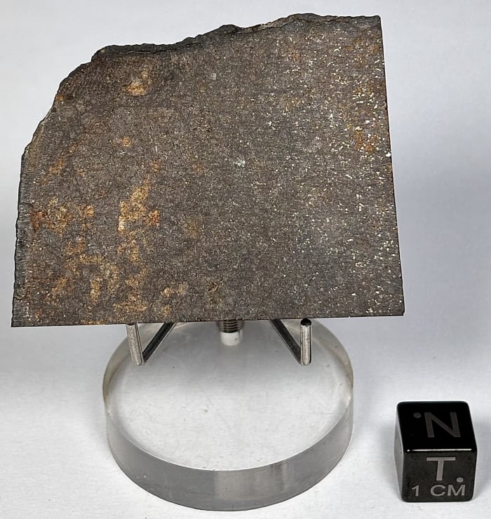 Wagon Mound 24.2 grams